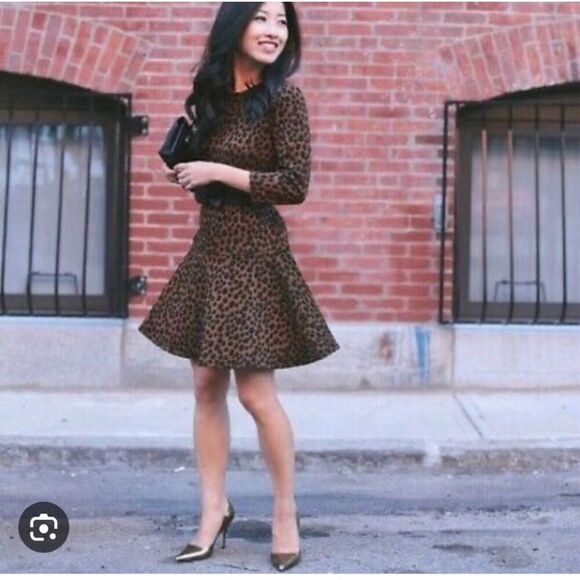 Ann Taylor Loft Size S Animal Print Drop Waist Mini Dress Brown Black Spot Flare - Picture 2 of 16